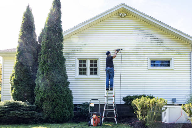 Best Roof Pressure Washing  in Manawa, WI