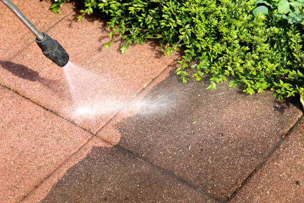 Best Pressure Washing Driveway  in Manawa, WI